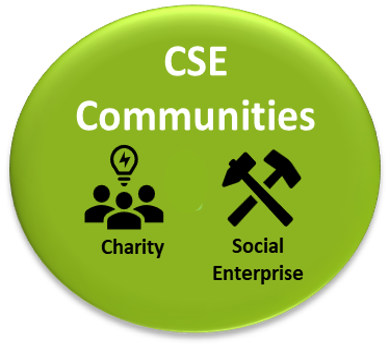 RSIF VCSE icon