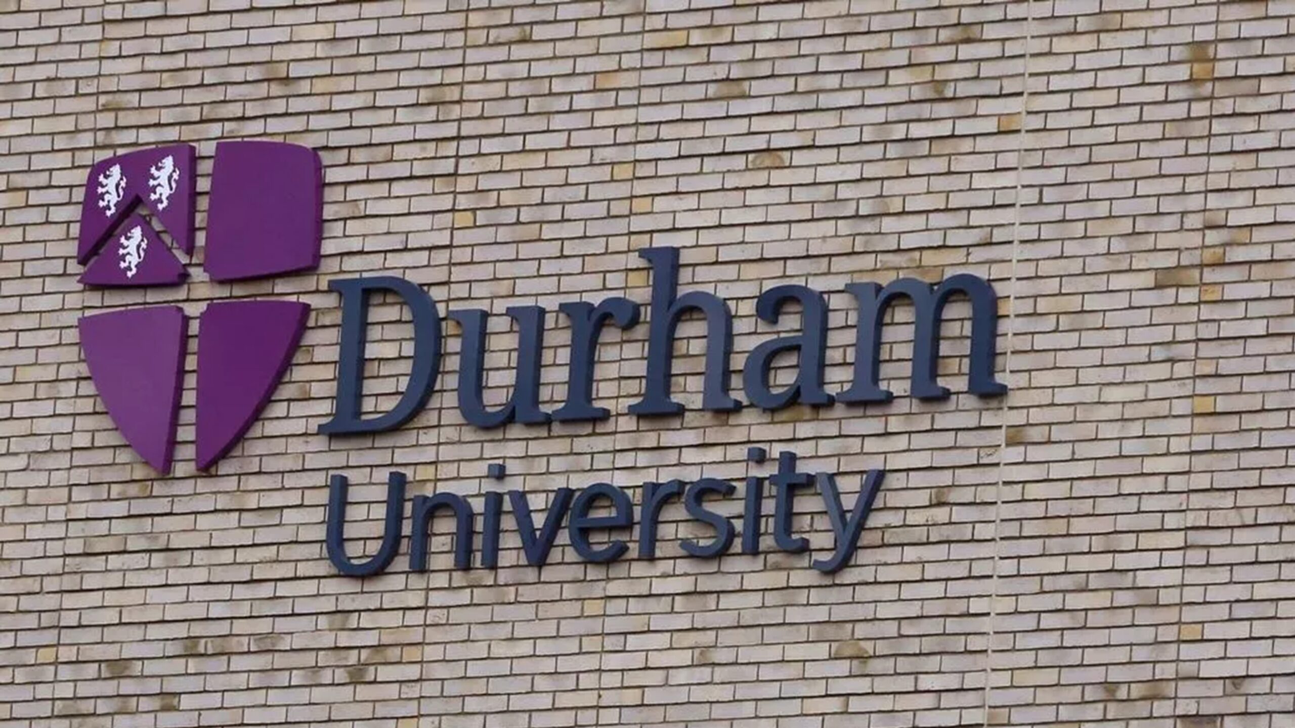 UK study highlights risk factors of domestic abuse of older people