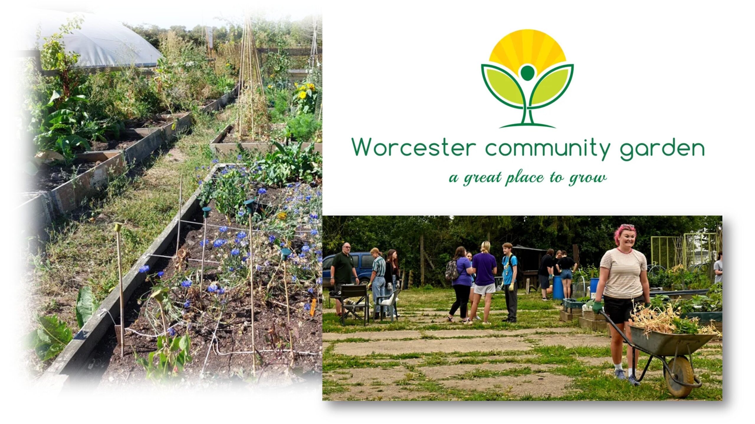 Council social value to support Worcester Community Garden